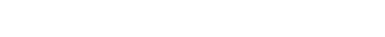 Asset 306