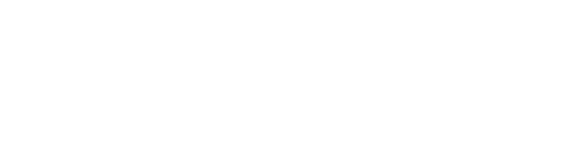 Ativo 319